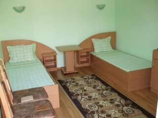 Гостевой дом Guest Rooms Mihaylovi Павел-Баня Двухместный номер с 2 отдельными кроватями и террасой-3